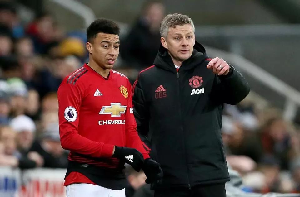 年的布鲁克 年的布鲁克